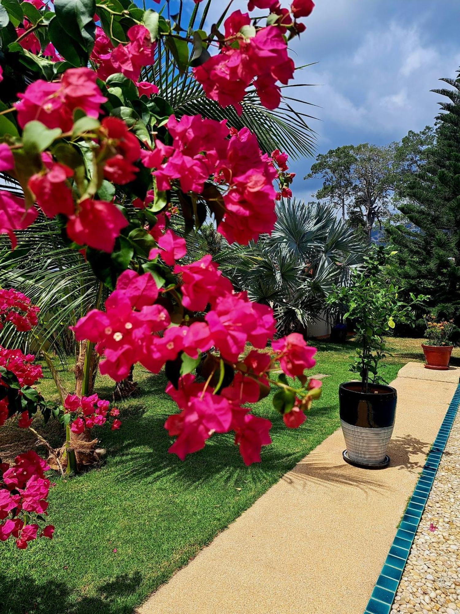 Laura Guest House-Adult Only- Hua Thanon  Εξωτερικό φωτογραφία
