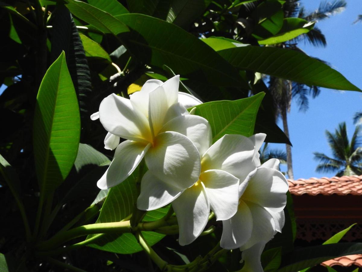 Laura Guest House-Adult Only- Hua Thanon  Εξωτερικό φωτογραφία